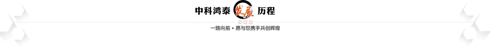 发展历程