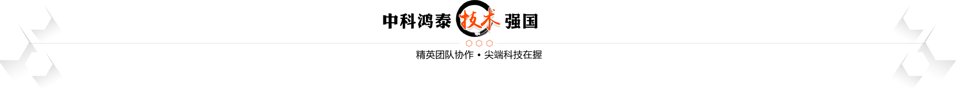 技术实力